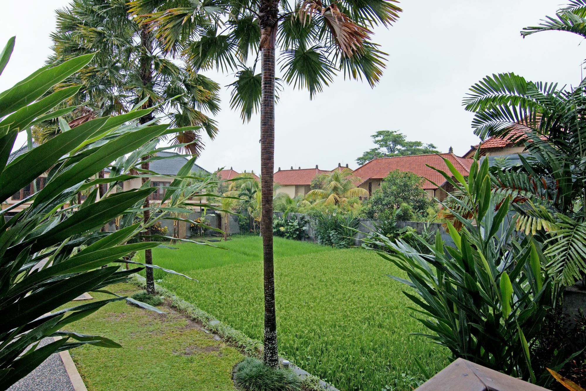Zen Villa Pengosekan Ubud Εξωτερικό φωτογραφία